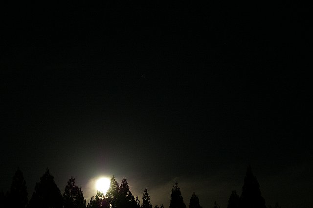 ファイル 13-1.jpg