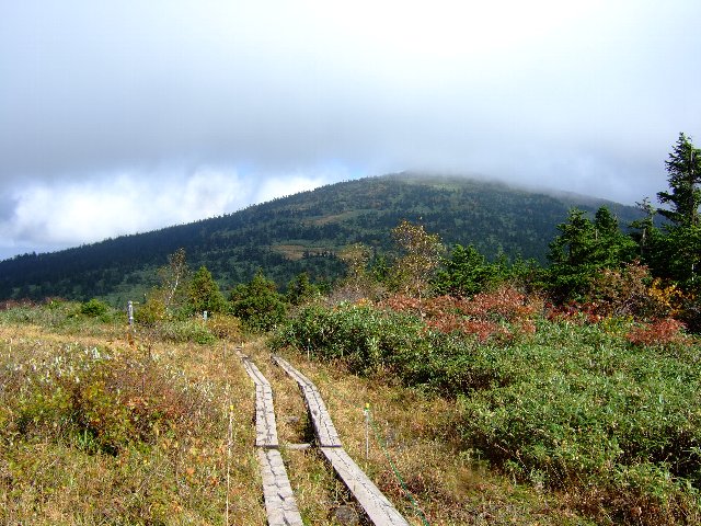 ファイル 17-1.jpg