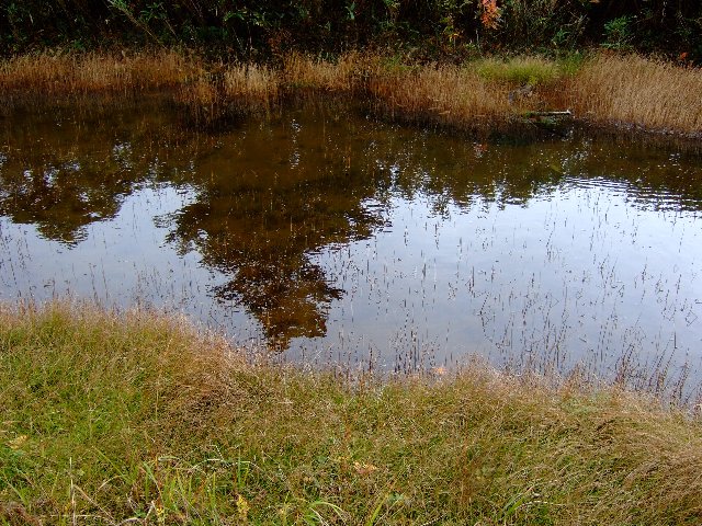 ファイル 17-2.jpg