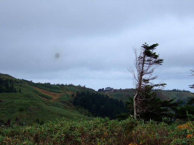 ファイル 17-3.jpg