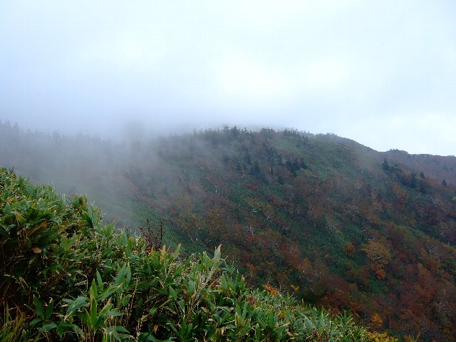 ファイル 17-4.jpg