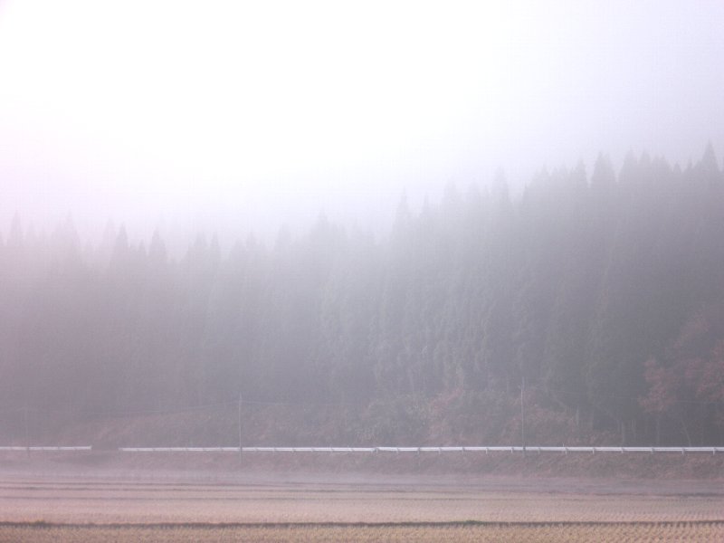 ファイル 18-1.jpg