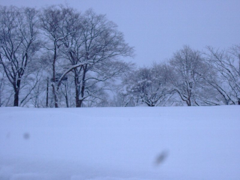 ファイル 19-1.jpg