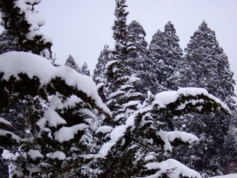 ファイル 19-2.jpg