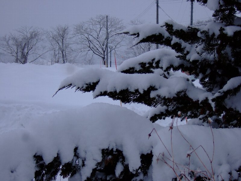 ファイル 19-3.jpg