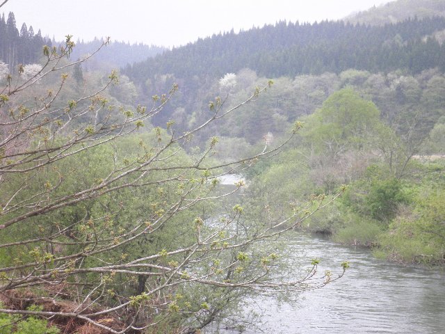 ファイル 2-2.jpg