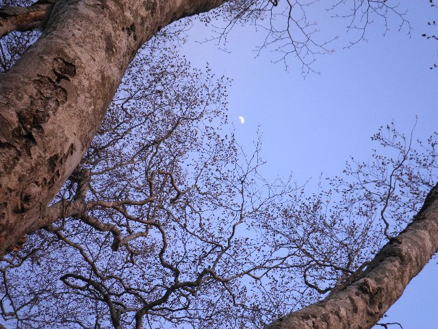 ファイル 2-5.jpg