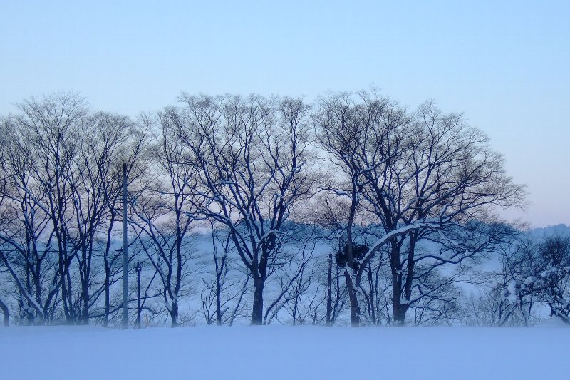 ファイル 20-1.jpg