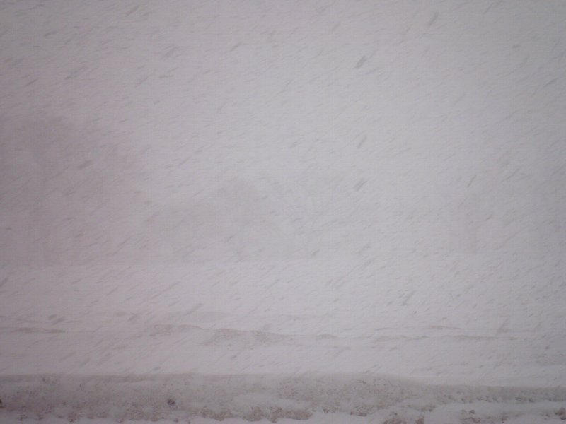 ファイル 22-1.jpg