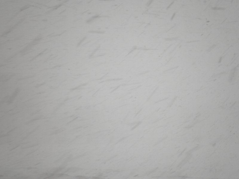 ファイル 22-2.jpg