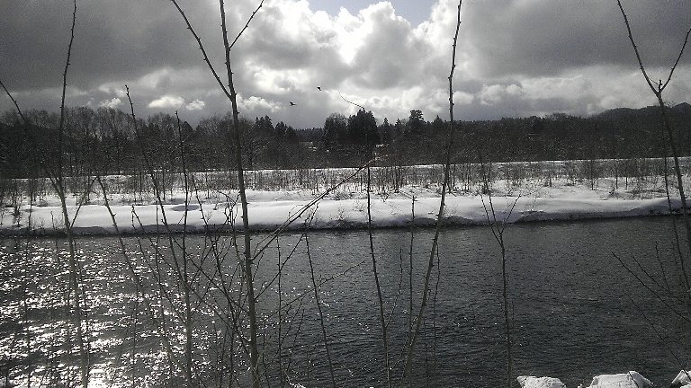 ファイル 23-3.jpg