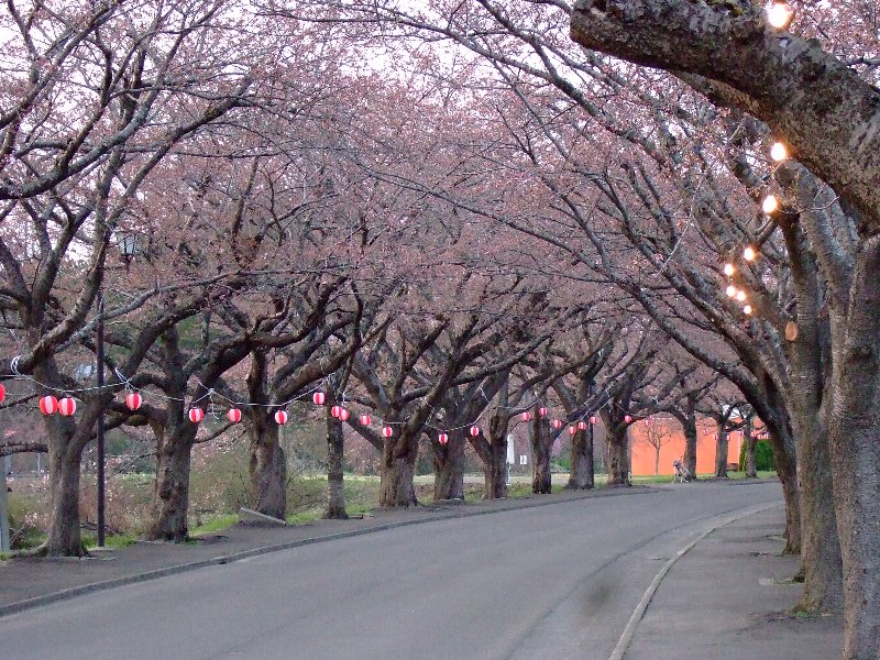 ファイル 25-2.jpg