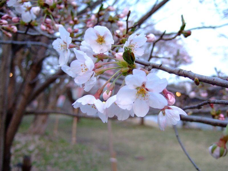 ファイル 25-3.jpg