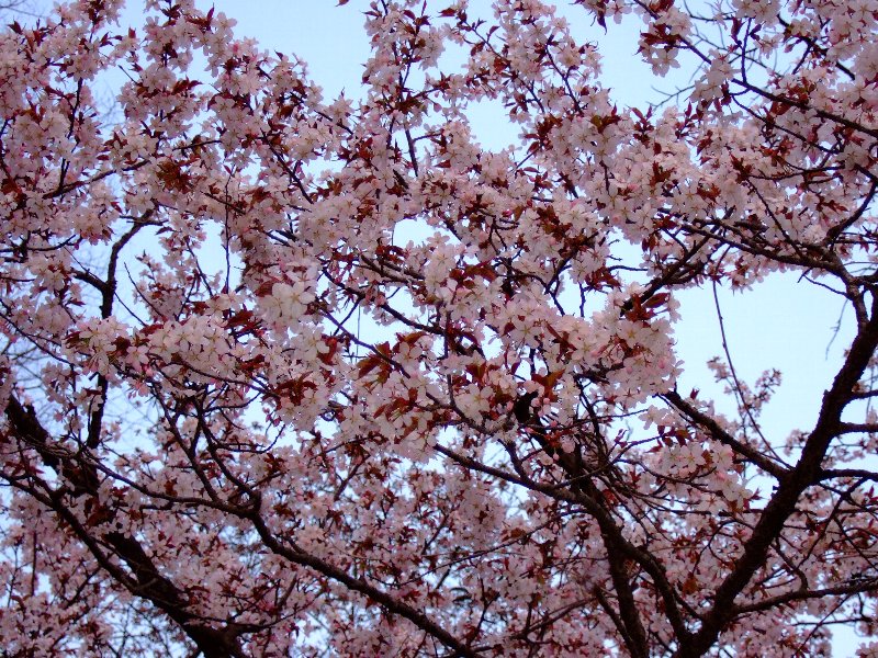 ファイル 25-5.jpg