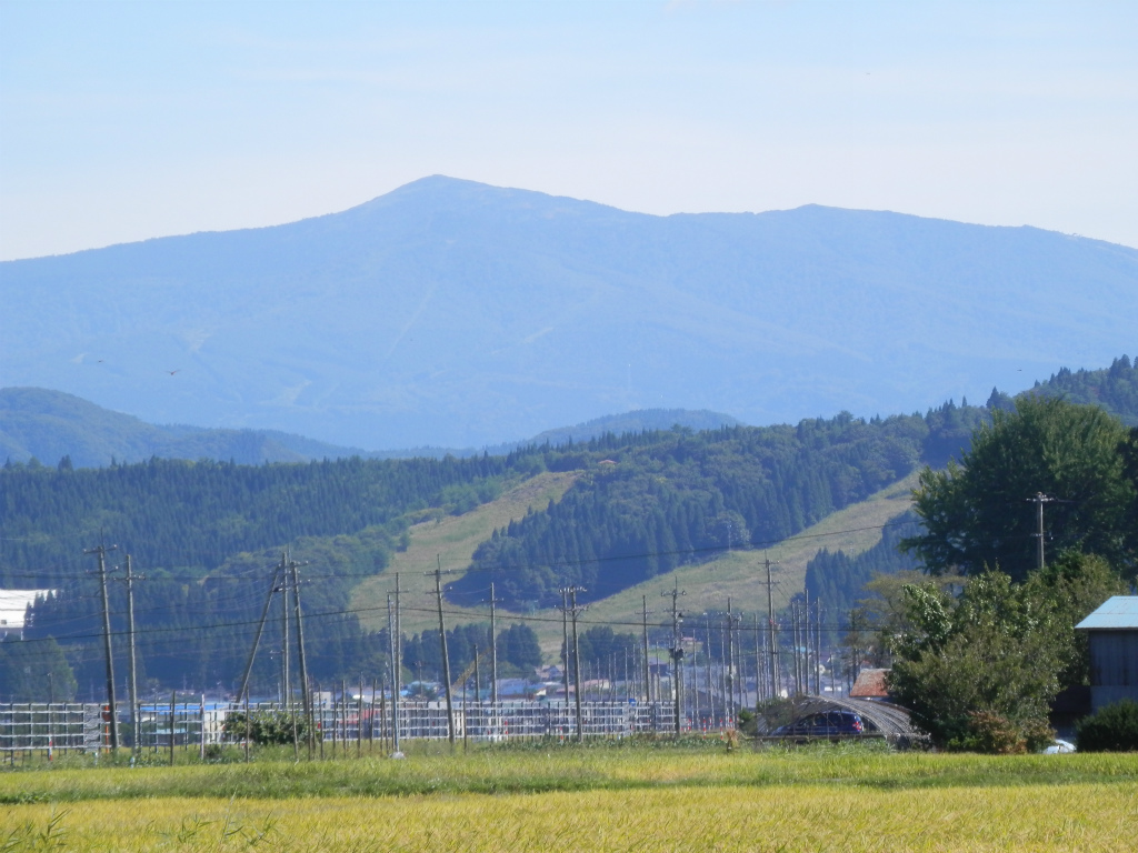 ファイル 36-1.jpg