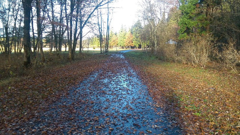 ファイル 37-3.jpg