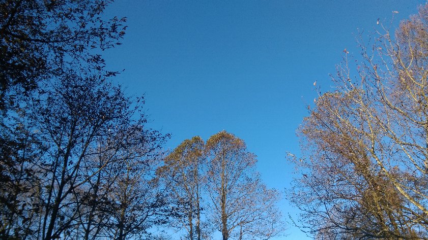 ファイル 37-4.jpg