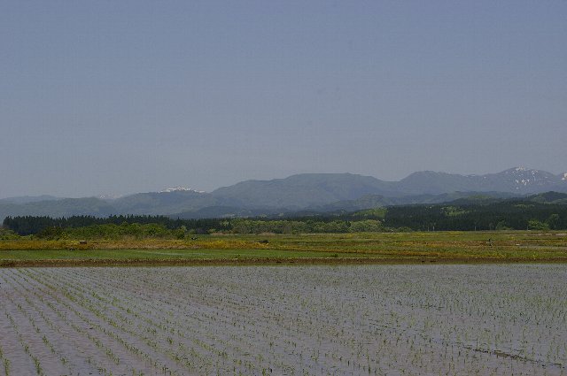 ファイル 4-1.jpg