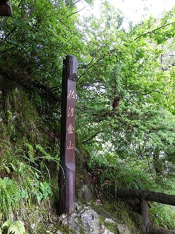 ファイル 43-1.jpg