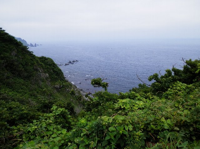 ファイル 44-1.jpg