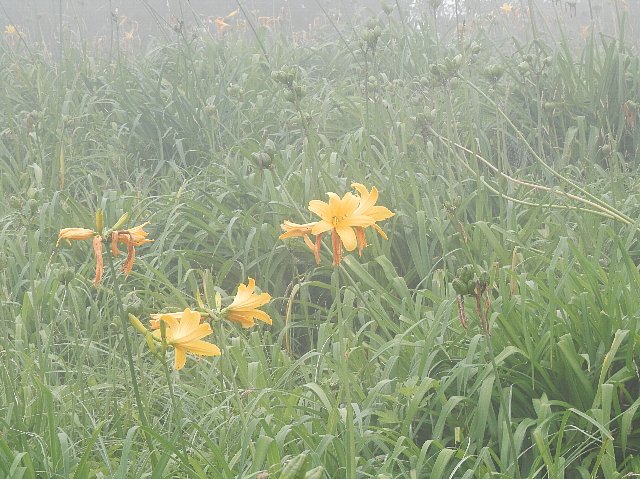 ファイル 44-3.jpg