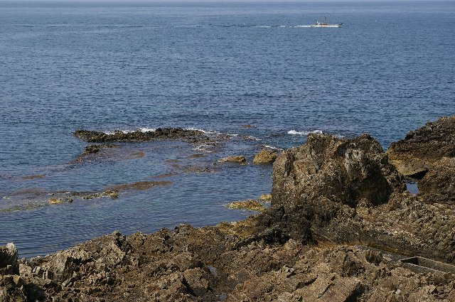 ファイル 5-1.jpg