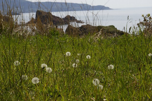 ファイル 5-4.jpg