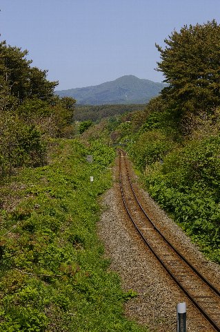 ファイル 5-5.jpg