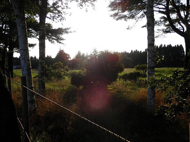 ファイル 53-1.jpg