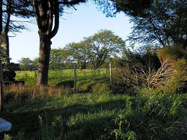 ファイル 53-3.jpg