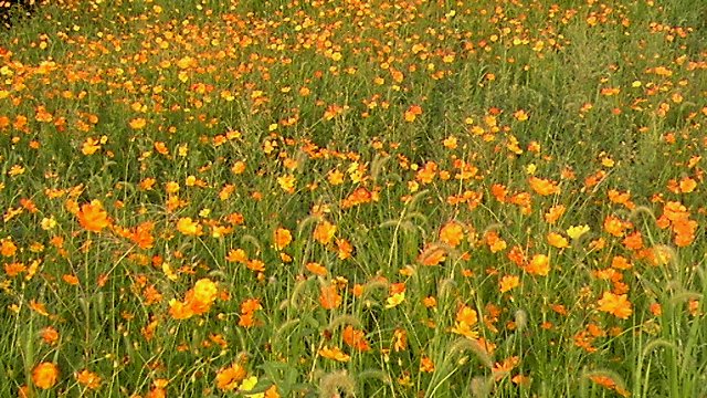 ファイル 57-3.jpg