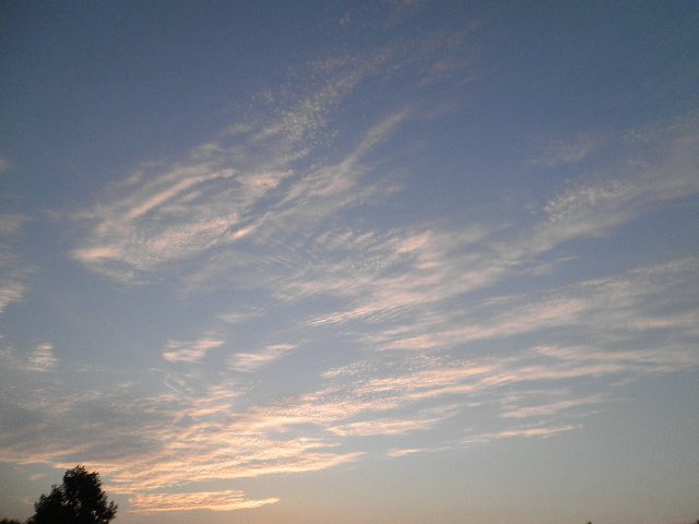 ファイル 57-4.jpg