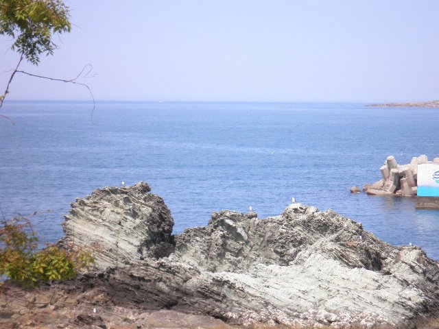 ファイル 6-3.jpg