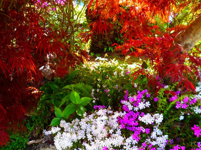 ファイル 6-5.jpg