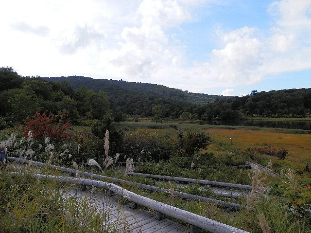 ファイル 61-1.jpg