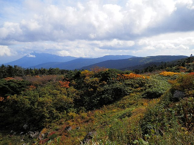 ファイル 61-2.jpg