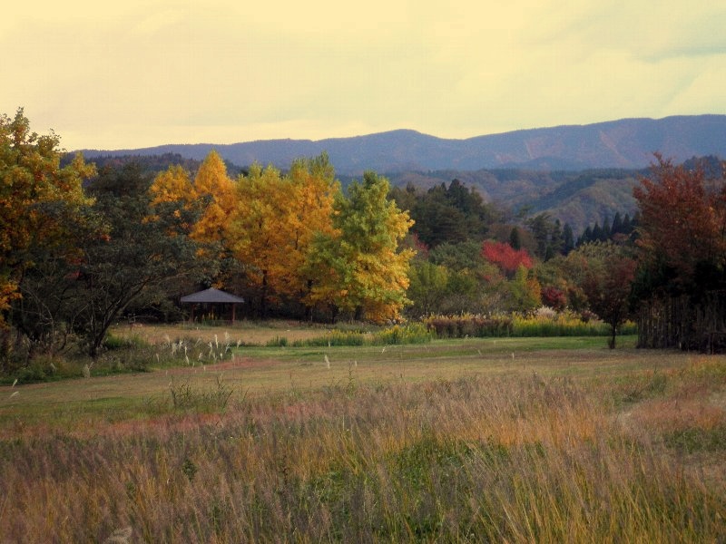 ファイル 63-1.jpg