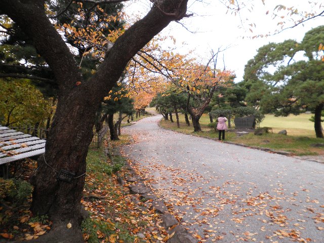 ファイル 65-3.jpg