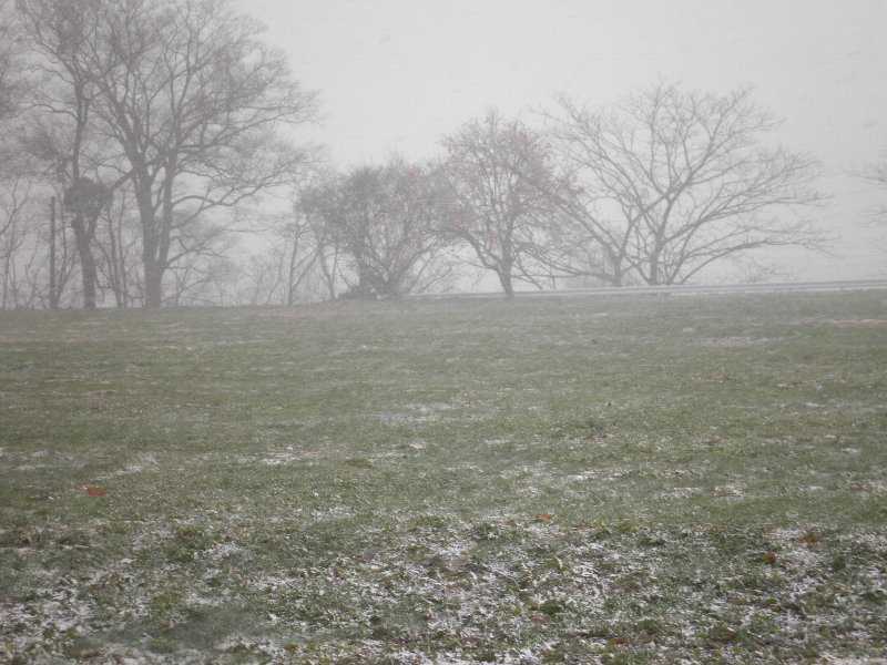 ファイル 68-1.jpg