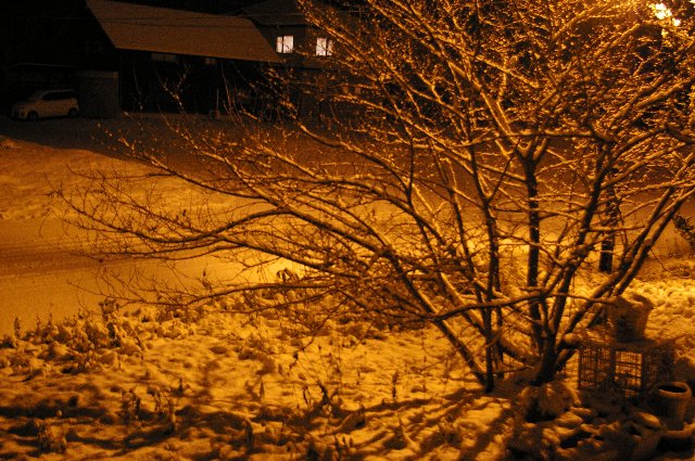 ファイル 69-1.jpg