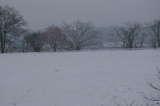 ファイル 71-1.jpg