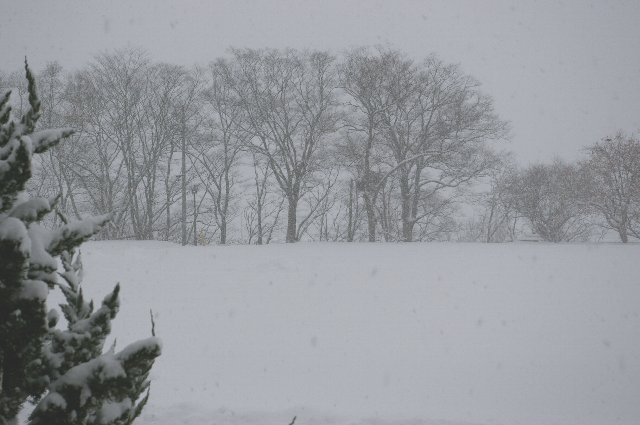 ファイル 71-2.jpg