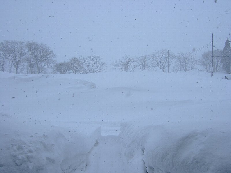 ファイル 73-1.jpg