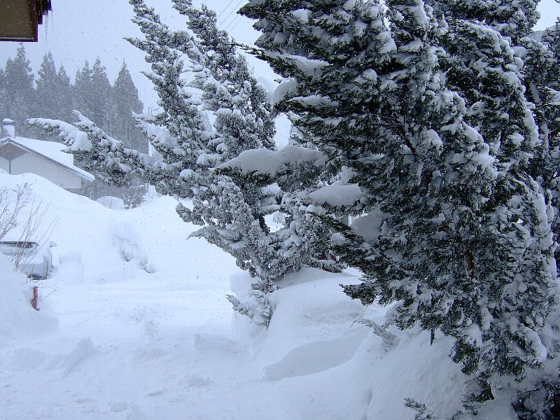 ファイル 73-2.jpg