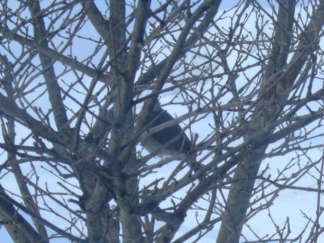 ファイル 73-3.jpg