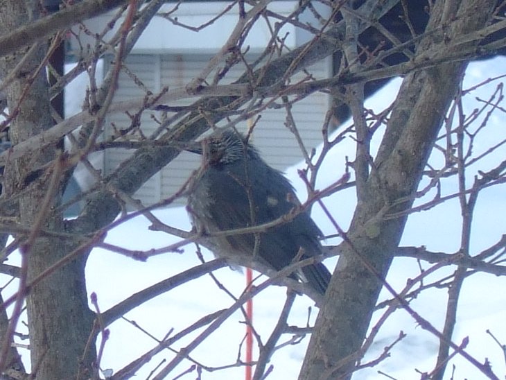 ファイル 73-4.jpg