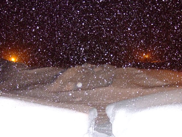 ファイル 74-1.jpg