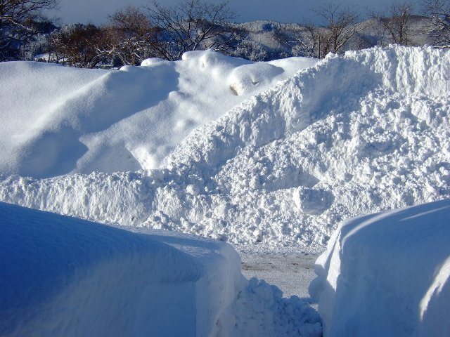 ファイル 74-2.jpg