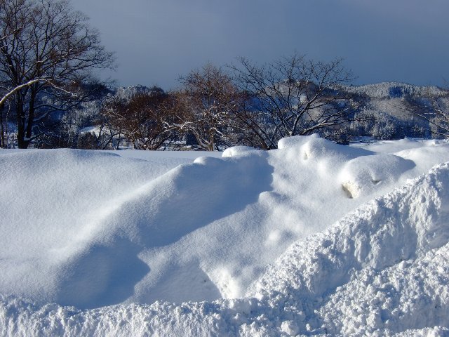 ファイル 74-3.jpg