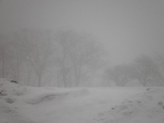 ファイル 75-1.jpg